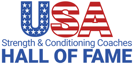 usa logo